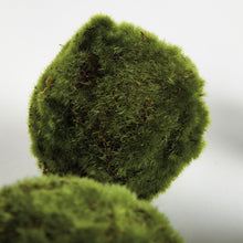 Load image into Gallery viewer, MOSS ORBS 4" ST/6
