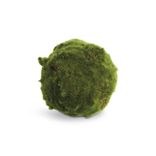 Load image into Gallery viewer, MOSS ORBS 5" ST/3
