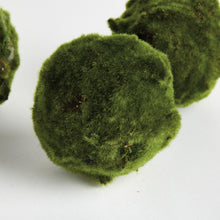 Load image into Gallery viewer, MOSS ORBS 5" ST/3
