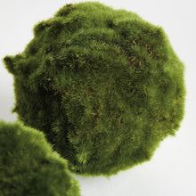 Load image into Gallery viewer, MOSS ORBS 5" ST/3
