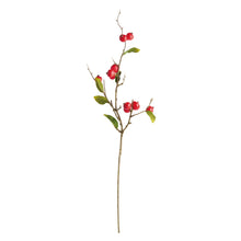 Load image into Gallery viewer, CRABAPPLE STEMS ST/6
