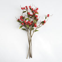 Load image into Gallery viewer, CRABAPPLE STEMS ST/6
