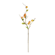 Load image into Gallery viewer, CRABAPPLE STEMS ST/6
