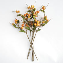 Load image into Gallery viewer, CRABAPPLE STEMS ST/6
