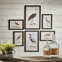 Load image into Gallery viewer, Waterfowl Gallery, Set of 6
