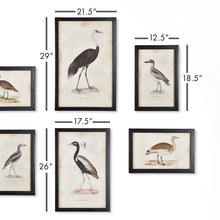 Load image into Gallery viewer, Waterfowl Gallery, Set of 6
