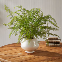 Load image into Gallery viewer, SOFT FERN DROP-IN 36"
