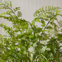 Load image into Gallery viewer, SOFT FERN DROP-IN 36"

