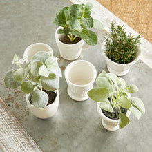 Load image into Gallery viewer, MIRABELLE MINI CACHEPOTS, SET OF 6

