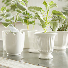 Load image into Gallery viewer, MIRABELLE MINI CACHEPOTS, SET OF 6
