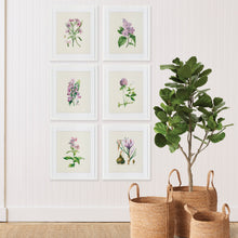 Load image into Gallery viewer, Flower Study Prints, Set of 6

