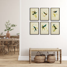 Load image into Gallery viewer, Hummingbird Prints, Set of 6
