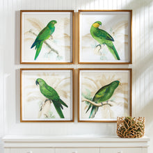 Load image into Gallery viewer, GREEN PARROTS STUDY, SET OF 4
