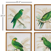 Load image into Gallery viewer, GREEN PARROTS STUDY, SET OF 4

