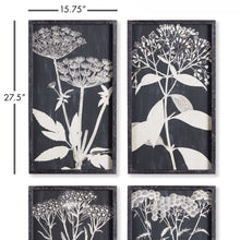 Load image into Gallery viewer, MONOCHROME QUEEN ANNE'S LACE PRINTS, SET OF 4

