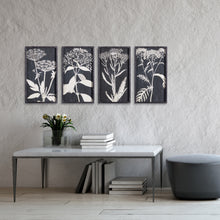 Load image into Gallery viewer, MONOCHROME QUEEN ANNE'S LACE PRINTS, SET OF 4
