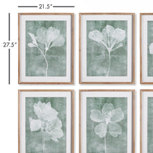 Load image into Gallery viewer, TRANSLUCENT FLORAL PRINTS, SET OF 6
