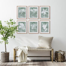 Load image into Gallery viewer, TRANSLUCENT FLORAL PRINTS, SET OF 6
