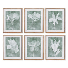 Load image into Gallery viewer, TRANSLUCENT FLORAL PRINTS, SET OF 6
