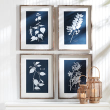 Load image into Gallery viewer, CYANO BOTANICAL LEAF STUDY, SET OF 4
