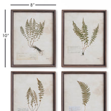 Load image into Gallery viewer, PETITE FROND PRINTS, SET OF 4
