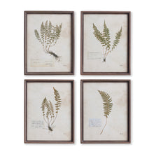 Load image into Gallery viewer, PETITE FROND PRINTS, SET OF 4
