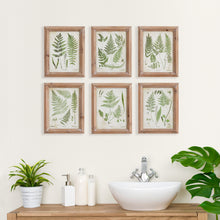 Load image into Gallery viewer, ASSORTED FROND STUDY PETITE, SET OF 6
