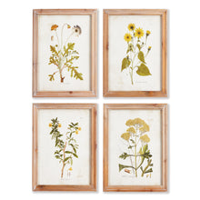 Load image into Gallery viewer, GOLDEN WILDFLOWER STUDY, SET OF 4
