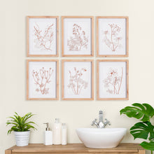 Load image into Gallery viewer, BOTANICALS IN BLUSH PRINTS, SET OF 6
