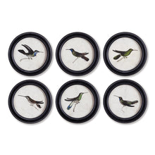 Load image into Gallery viewer, HUMMINGBIRD ROUND PETITE PRINTS, SET OF 6
