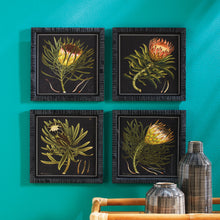 Load image into Gallery viewer, PROTEA PETITE PRINTS, SET OF 4
