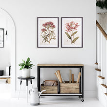 Load image into Gallery viewer, PRETTY IN PINK VINTAGE PRINTS, SET OF 2

