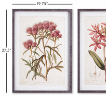 Load image into Gallery viewer, PRETTY IN PINK VINTAGE PRINTS, SET OF 2
