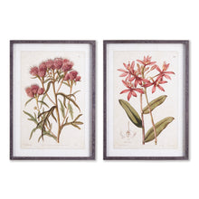 Load image into Gallery viewer, PRETTY IN PINK VINTAGE PRINTS, SET OF 2
