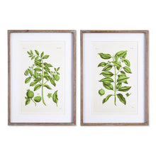 Load image into Gallery viewer, GUAVA PRINTS, SET OF 2
