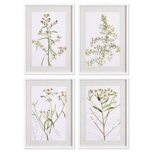 Load image into Gallery viewer, DAISY PRINTS, SET OF 4
