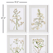 Load image into Gallery viewer, DAISY PRINTS, SET OF 4
