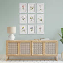 Load image into Gallery viewer, GARDEN MEADOW STUDY, SET OF 9
