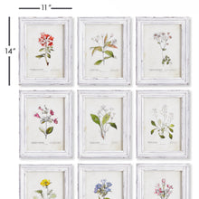 Load image into Gallery viewer, GARDEN MEADOW STUDY, SET OF 9
