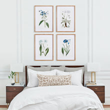Load image into Gallery viewer, MOUNTAIN BOTANICAL PRINTS, SET OF 4
