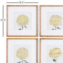 Load image into Gallery viewer, CHRYSANTHEMUM PRINTS, SET OF 4
