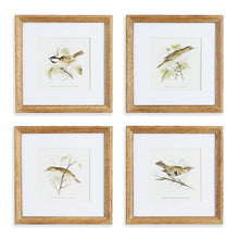 Load image into Gallery viewer, PERCHING BIRD STUDY PETITE, SET OF 4
