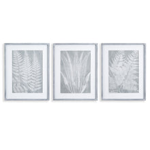 Load image into Gallery viewer, FERN FROND PRINTS, SET OF 3
