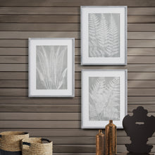 Load image into Gallery viewer, FERN FROND PRINTS, SET OF 3
