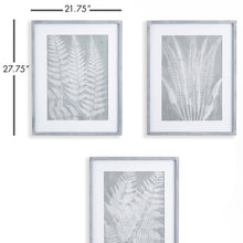 Load image into Gallery viewer, FERN FROND PRINTS, SET OF 3

