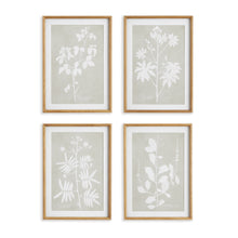 Load image into Gallery viewer, FOLIAGE STUDY, SET OF 4
