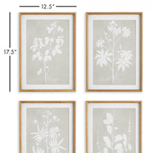 Load image into Gallery viewer, FOLIAGE STUDY, SET OF 4
