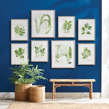 Load image into Gallery viewer, TREE LEAF STUDY, SET OF 6

