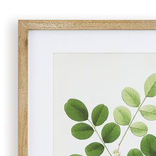 Load image into Gallery viewer, TREE LEAF STUDY, SET OF 6
