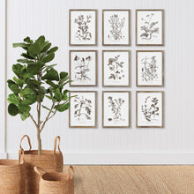 Load image into Gallery viewer, RUSTIC FOLIAGE STUDY, SET OF 9
